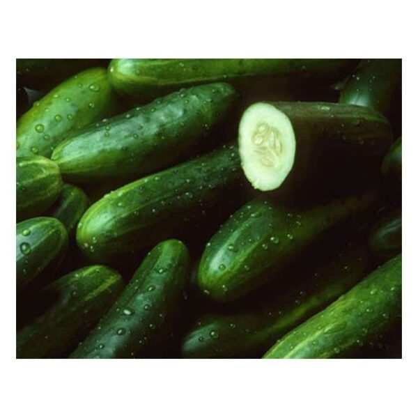 Cucumber - Each