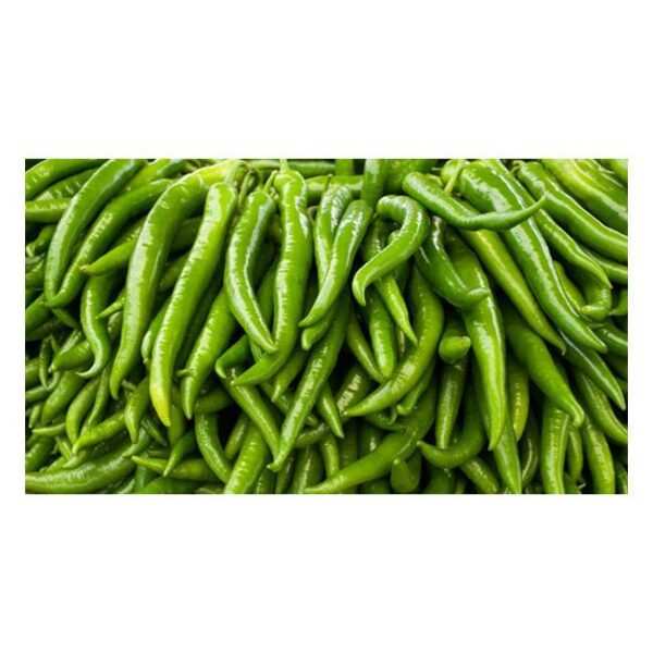 FRESH Long Green Chilli - 500g