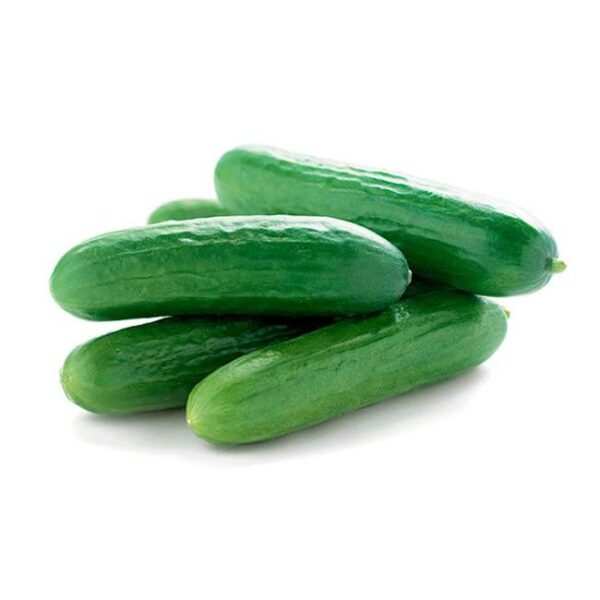 Baby Cucumber - 500 g