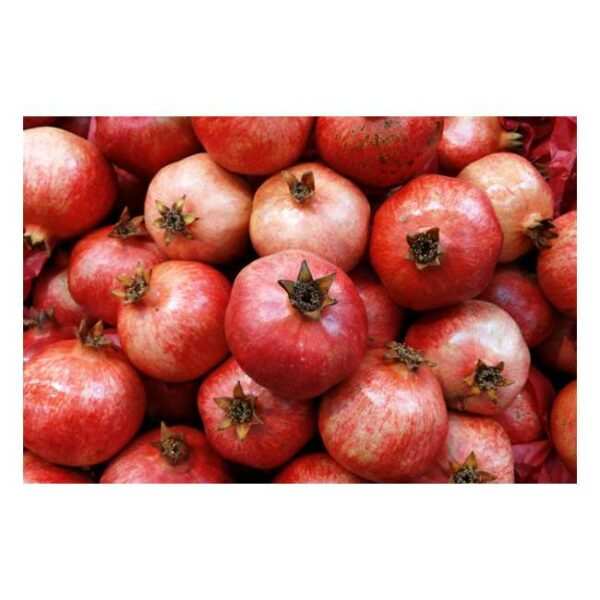 Pomegranate - Each