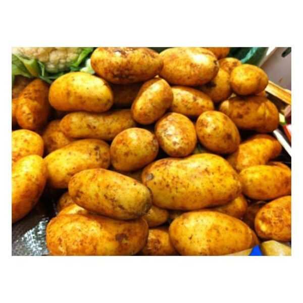 Cyprus Potatoes - 500g