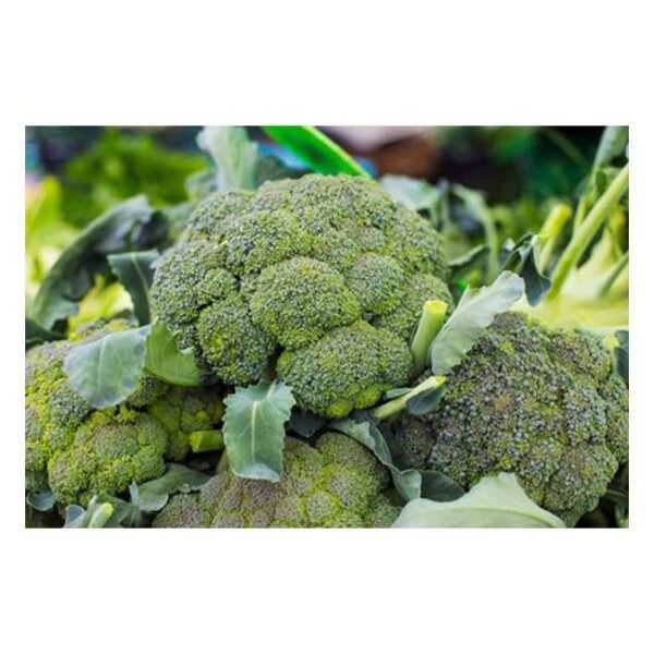 Broccoli - Per 500G
