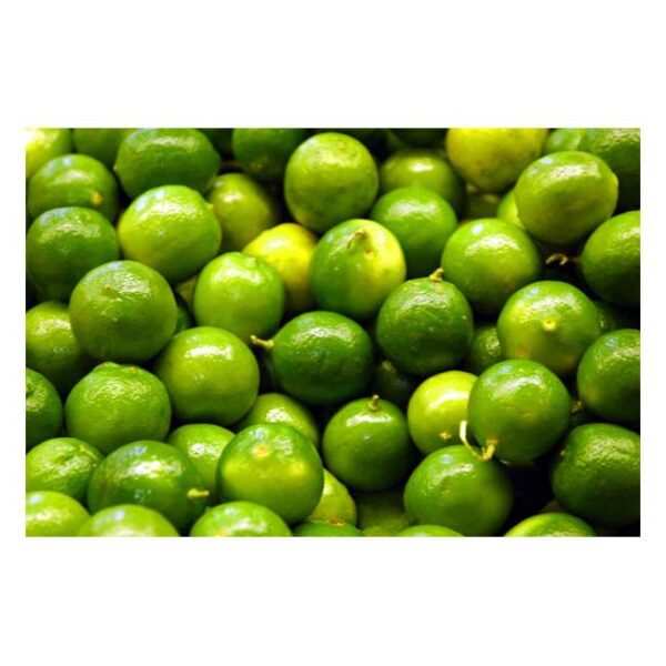 Lime -5  ON OFFER