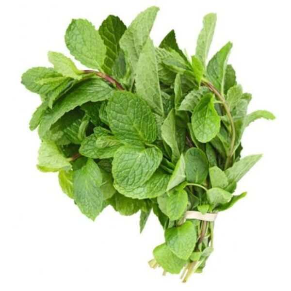 Mint Bunch - (2 ON OFFER )