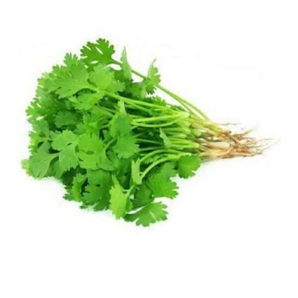 Coriander Leaves Bunch -( 2 ON OFFER )