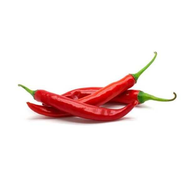 FRESH LONG Red Chilli - 500g