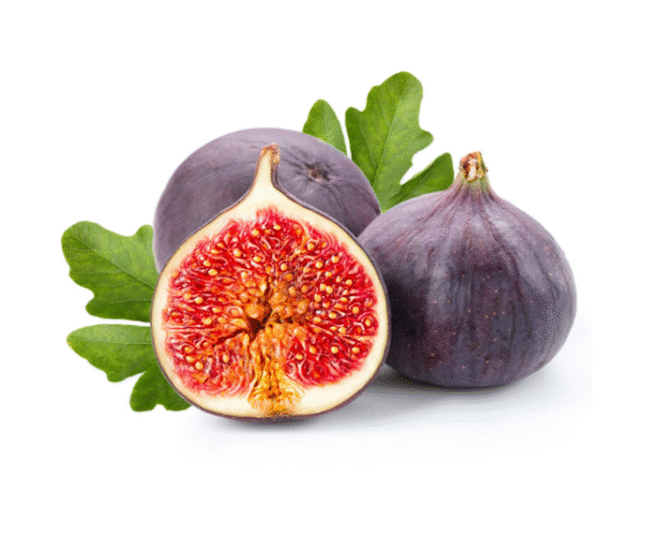 FIGS(3 on offer)