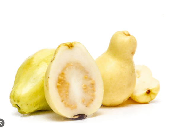 GUAVA-1KG( ON OFFER)