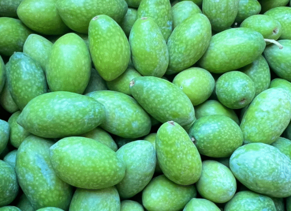 LEB. FRESH GREEN OLIVES -500g