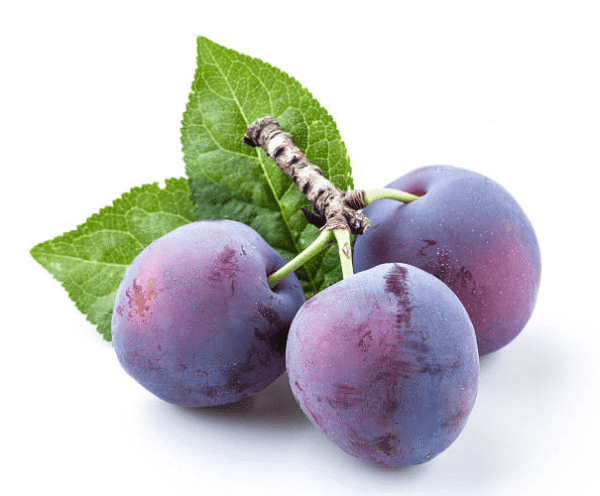 PRESIDENT PLUMS-500g